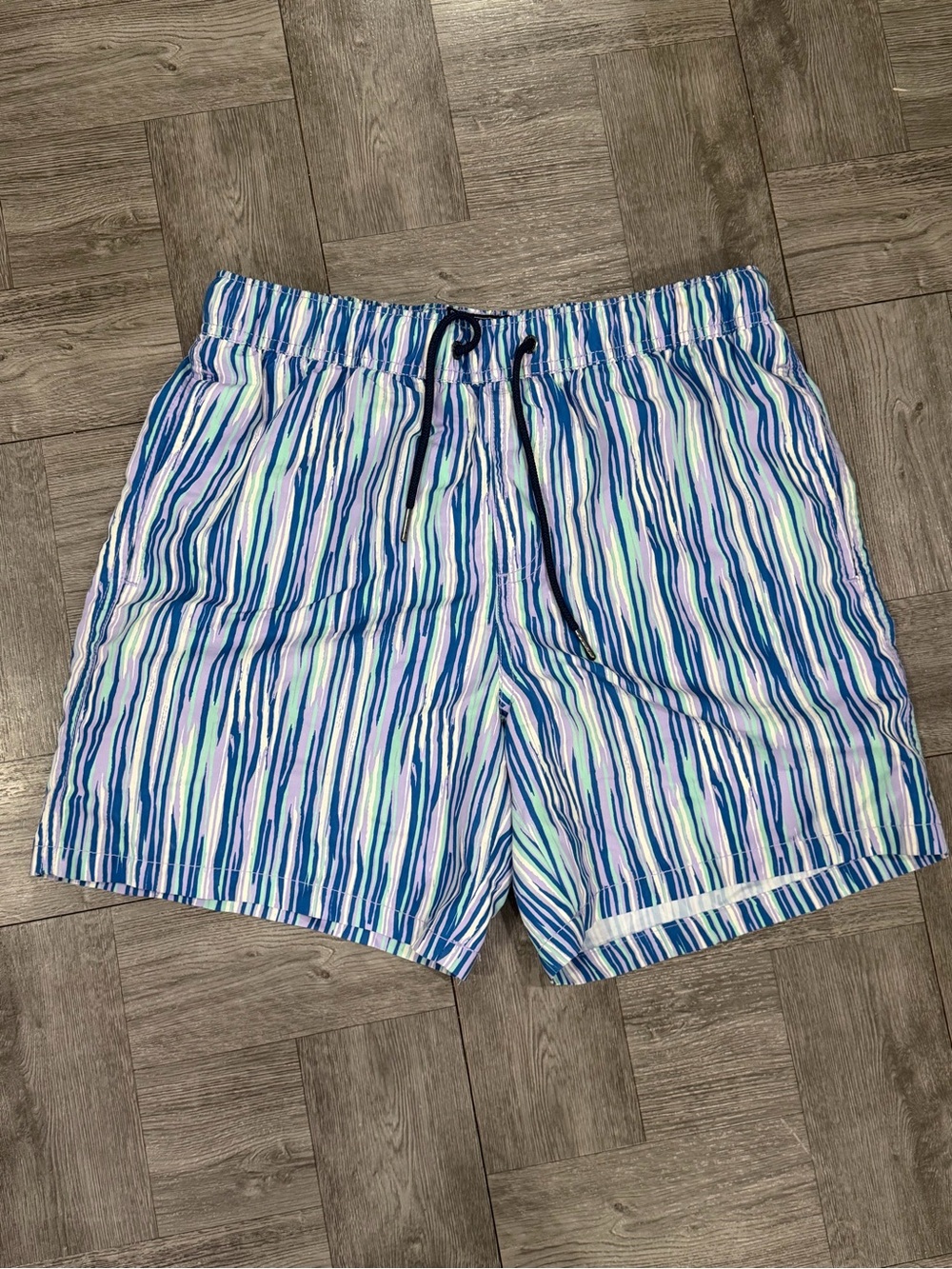 Pacsun Men's Striped Swim Trunks in Blue and White